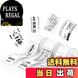 �y���������zNIIMBOT ���x���V�[���y3���[���zB1/B1Pro/B2/B2Pro/B21/B21Pro/B31���x�����[�J�[�Ή� �������M���[���� ���M���x���v�����^�[ ����p�� ���S�� �ϐ� ������� �������� ���[ �l�D 95����