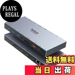 �y���������zSelore USB C �h�b�L���O�X�e�[�V���� type c HDMI 2�� Dock�y15 in 1�z DP DP1.4 4K 2��� 3��ʃ��[�h �f���A�� �g���v���f�B�X�v���C 100W �}���[�d �L��LAN RJ45/3.5mm �I�[�f�B�I�W���b�N/USB-A 3.