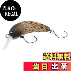 �y���������zYARIE(�����G) No.679 �S�[�g�X�^�[ F 2.4g (C41 MB light)