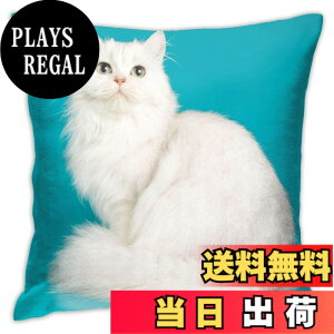�y���������zDADABULIU �N�b�V�����J�o�[ 45x45cm �������J�o�[ �����O�w�A ���L �L �� �L���[�g �y���V���L �_�炩�� ���킢�� ������� �\�t�@�w���� ���� �G�� �ƒ�p �I�t�B�X �z�e���p �ԗp 