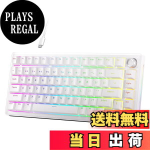 �y���������zDIERYA DK81E �Q�[�~���O�L�[�{�[�h �K�X�P�b�g�}�E���g�\���b���J�j�J���L�[�{�[�h �L�� �{�����[���m�u���ځbRGB�o�b�N���C�g�b�z�b�g�X���b�v�Ή��N���[���X�C�b�`�b�Q�[�~��