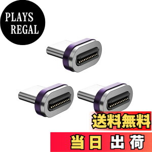 �y���������zENDLESSHINE ���C�A�_�v�^�[ �`�b�v 3 �p�b�N 24 �s�� USB2.0 �^�C�v C �f�o�C�X�p�����p OTG �`�b�v Samsung Galaxy S8 S22+ Plus Google Pixel �p���C�d�b�P�[�u�� �I�X �A�_�v�^�[ (USB C)
