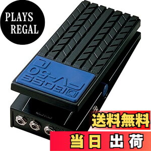 �y���������zBOSS(�{�X) �{�����[���E�y�_�� FV-50L �F�F��