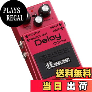 �y���������zBOSS/DM-2W Analog Delay �Z Waza Craft �{�X �F�F��,��