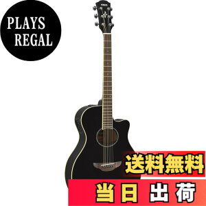 �y���������z���}�n �G���A�R�M�^�[ APX600 �F�F�u���b�N(BL)
