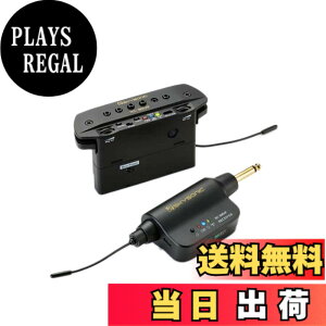 �y���������z�y���K�i�zSKYSONIC �X�J�C�\�j�b�N WL-800JP �A�R�[�X�e�B�b�N�M�^�[�p���C�����X�E�s�b�N�A�b�v