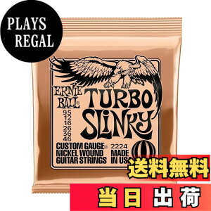 �y���������z�y���K�i�z ERNIE BALL �G���L�M�^�[�� SLINKY �F�F�^�[�{(9.5-46)�A�T�C�Y�F9.5-46
