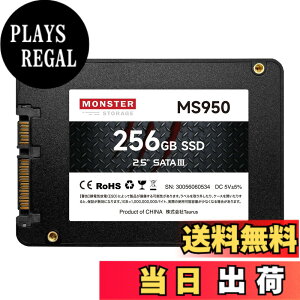 �y���������z�����X�^�[�X�g���[�W �����^ SSD 2.5�C���` 7mm TLC 3D NAND�̗p SATAIII 6Gb/s 560MB/s PS4����m�F�� ���[�J�[3�N �F�F�u���b�N�A�T�C�Y�F256GB