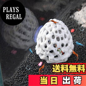 【送料無料】Refoiner エビ 隠れ家 水槽 隠れ家多孔質模造サンゴ石水槽 飾り吸盤付きの洞窟 金魚 メダカ ドジョウ 隠れ家水槽 オブジェ エビ 飼育アクアリウム 水槽 置物 カナヘビ トカゲ シェルター 色：ホワイト、サイズ：Small
