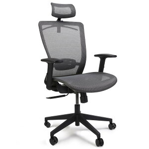 �y���������zFLEXISPOT �I�t�B�X�`�F�A �f�X�N�`�F�A OC3 ���@�\���� ���b�L���O�@�\ 3�i�K�Œ� 2D�w�b�h���X�g�t�� �A�[�����X�g�t�� �����o�[�T�|�[�g�t�� ���b�V�� �E���^���t�H�[�� �R�[�g