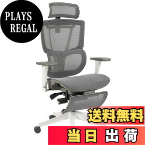 �y���������zFLEXISPOT �I�t�B�X�`�F�A �f�X�N�`�F�A C7 �l�ԍH�w �G���S�m�~�N�X�`�F�A ���b�V���`�F�A �Ɨ��^�����o�[�T�|�[�g ���N���C�j���O�\ �V���N�����b�L���O ���i�K�Œ� �O�X�`��