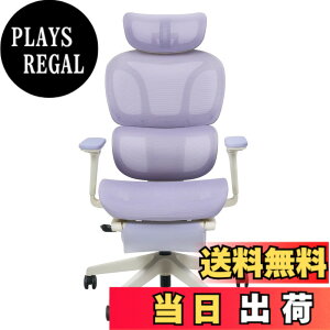 �y���������zFLEXISPOT �I�t�B�X�`�F�A �f�X�N�`�F�A C7 �l�ԍH�w �G���S�m�~�N�X�`�F�A ���b�V���`�F�A �Ɨ��^�����o�[�T�|�[�g ���N���C�j���O�\ �V���N�����b�L���O ���ʉ��s�����\ 2D