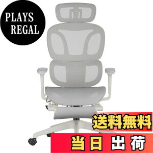 �y���������zFLEXISPOT �I�t�B�X�`�F�A �f�X�N�`�F�A C7 �l�ԍH�w �G���S�m�~�N�X�`�F�A ���b�V���`�F�A �Ɨ��^�����o�[�T�|�[�g ���N���C�j���O�\ �V���N�����b�L���O ���ʉ��s�����\ 2D