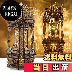 �y���������zFUNPOLA 3D�p�Y�� �ؐ��p�Y�� �|�[�J�[���[���h �v���W�F�N�^�[�����v LED���C�g�t�� �I���S�[���t�� DIY �N���t�g�L�b�g �z�[���f�R���[�V�����p�̃i�C�g���C�g �M�t�g 181PCS �F�F