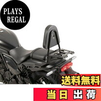 楽天市場】エリミネーター シーシーバーの通販