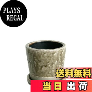 �y���������z�_���g��(Dulton) �A�ؔ� �v�����^�[ �󂯎M�t�� ������ ���픫 �J���[ ���|�p�i CH13-G476_CH15-G527_CH14-G518 COLOR GLAZED POT �F�F�N���C�A�T�C�Y�F3.5��