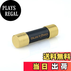 �y���������zGUSTARD HIFI�����p�q���[�Y �i�m�����n�C�G���h�q���[�Y DR70/R30/X30/R26 II/X26 III/U26/S26/HP70/H26/A26/R26/ X26PRO/A22/H20/X20/X22 �ɑΉ� Gustard�q���[�Y fuse 3.15A �T�C�Y�F3.15A