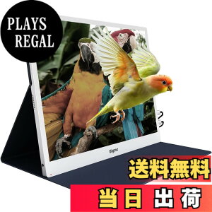 �y���������zBigme 13.3�C���` �d�q�y�[�p�[ �f�B�X�v���C ���j�^�[, �ڂɗD���� �F�F�z���C�g