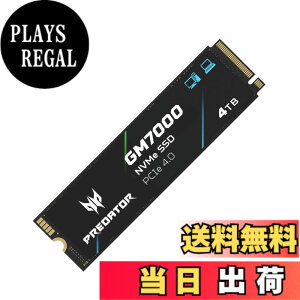 �y���������zAcer Predator �n�C�G���hSSD M.2 SSD DRAM�L���b�V������ GM7000 GM9000�V���[�Y �F�F�u���b�N�A�T�C�Y�F4TB