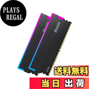 �y���������zBiwin DW100 DDR5 RGB U-DIMM PC�p������ �F�F�u���b�N�A�T�C�Y�F6000MT/s 64GB C30