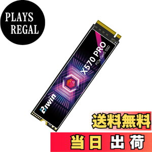 �y���������zBIWIN Black Opal M.2 SSD ���� �T�C�Y�F4TB