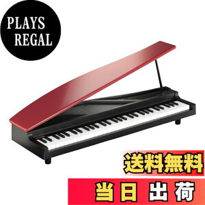 �y���������zKORG MICROPIANO �}�C�N���s�A�m �~�j����61�� �F�F���b�h