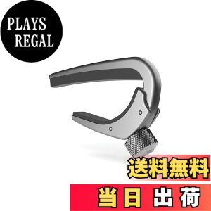 �y���������zD'Addario �_�_���I �J�|�^�X�g �G���L�M�^�[/�A�R�[�X�e�B�b�N�M�^�[�p �y�ʃA���~�� NS Capo Pro PW-CP-02 �y�������K�i�z �F�FSilver