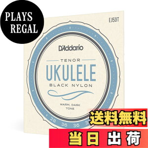 �y���������zD'Addario �_�_���I �E�N������ Pro-Art Rectified Black Nylon EJ53 �y�������K�i�z �T�C�Y�FTenor