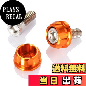 �y���������z�f�C�g�i(Daytona) PREMIUM ZONE(�v���~�A���]�[��) �o�C�N�p �i���o�[�v���[�g �{���g M6x15mm �z���_�[�Z�b�g 2���� �F�F�I�����W�A�T�C�Y�FM6x15mm