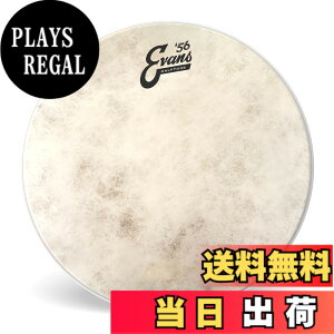 �y���������zEVANS �G���@���X �h�����w�b�h `56 Calftone Tom �y�������K�i�z �T�C�Y�F16