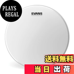 �y���������zEVANS �G���@���X �h�����w�b�h UV1 CTD �y�������K�i�z �T�C�Y�F12