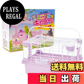 【送料無料】ミニマルランド ミニマルキャリー 色：マルチカラー、サイズ：23L x 18W x 16H cm