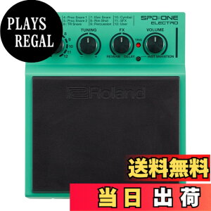�y���������zRoland ���[�����h �f�W�^���E�p�[�J�b�V�����E�p�b�h SPD-1 �F�F�O���[��