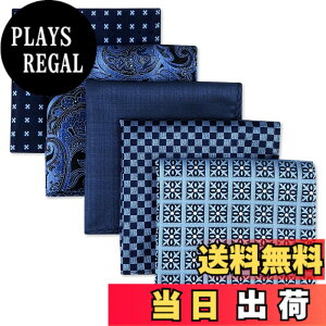 �y���������z(�V�b���N�X�ƃE�C���O) Shlax&Wing 5�{�����Y�|�P�b�g�`�[�t�Z�b�g�r�W�l�X���܃V���N �F�FSet11�A�T�C�Y�FSet11