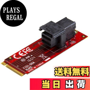 �y���������z�X�^�[�e�b�N.com PCI Express�Ή� M.2 SSD �R���g���[���J�[�h �T�C�Y�F1 �|�[�g
