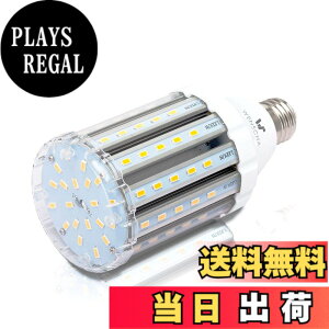 �y���������zlow watt led light bulbs �F�F25W WW�A�T�C�Y�F25W