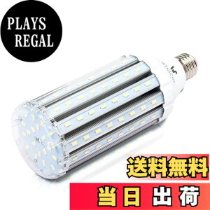 �y���������zhigh watt led light bulbs �F�F37WCold�A�T�C�Y�F35W