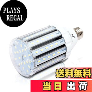 �y���������zlow watt led light bulbs �F�F25W CW�A�T�C�Y�F25W