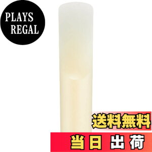 �y���������z���}�n Venova YVS-100