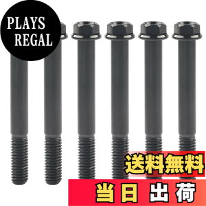 �y���������zRuifu M8x15 20 25 30 35 40 45 50 55 60 65mm �I�[�g�o�C ���������t�����W �Z�p�{���g �s�b�` 1.25mm 6���� �F�F�u���b�N�A�T�C�Y�FM8x65mm