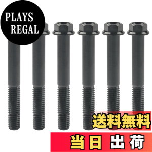 �y���������zRuifu M8x15 20 25 30 35 40 45 50 55 60 65mm �I�[�g�o�C ���������t�����W �Z�p�{���g �s�b�` 1.25mm 6���� �F�F�u���b�N�A�T�C�Y�FM8x60mm