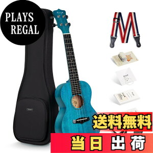 �y���������zEnya �}�z�K�j�[�E�N���� �F�F�̐F�R���T�[�g�E�N�����A�T�C�Y�F�R���T�[�g