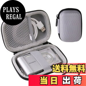 �y���������z�\�j�[ SONY �f�W�^���J���� Cyber-shot DSC-W830/WX350/WX500 ��p�ی���[�P�[�X -waiyu JP �F�F�O���[