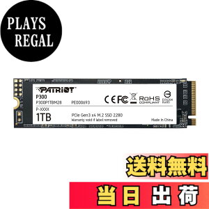 �y���������zPatriot P300 Internal SSD - NVMe PCIe Gen 3x4 - M.2 2280-10 Pack Parent �F�FM.2 PCIe Gen 3x4�A�T�C�Y�F1TB
