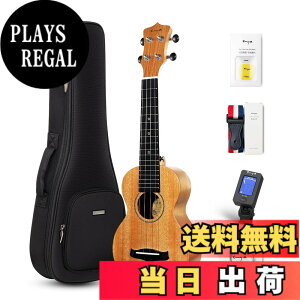 �y���������zEnya �}�z�K�j�[�E�N���� �F�F�؂̐F�\�v���m�E�N�����A�T�C�Y�F�\�v���m