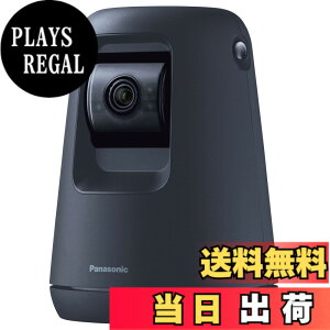 �y���������z�p�i�\�j�b�N WWA�Ή� �����J���� SECURITY_CAMERA �F�F�u���b�N