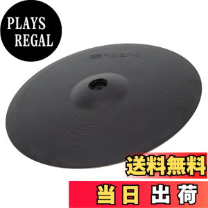 �y���������zRoland ���[�����h CY-R-T ���C�h �T�C�Y�F16�C���`