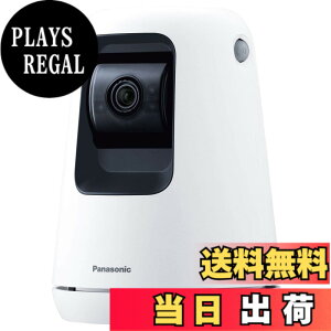�y���������z�p�i�\�j�b�N WWA�Ή� �����J���� SECURITY_CAMERA �F�F�z���C�g�A�T�C�Y�F1�� (x 1)