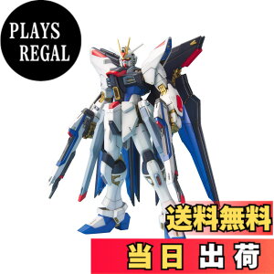 �y���������zMG �@����m�K���_��SEED DESTINY �X�g���C�N�t���[�_���K���_�� 1/100�X�P�[�� �F�����ς݃v�����f�� �F�F���b�h�A�T�C�Y�F1�� (x 1)