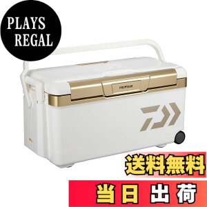 �y���������z�_�C��(DAIWA) �N�[���[�{�b�N�X �v���o�C�U�[�g�����NHD II 3500(35���b�g��) S/GU/TSS/ZSS �F�F�S�[���h�A�T�C�Y�F35L